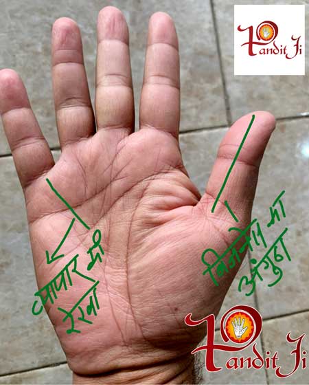 आपके हाथ में ये रेखाएं है तो आप करेंगे व्यापार