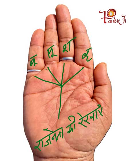 हाथ में ये योग हों तो बनते हैं राजनेता