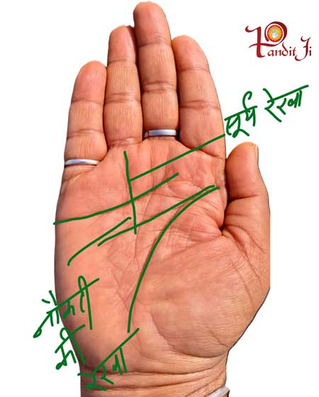 अगर आपकी हथेली में है ये निशान या रेखा तो सरकारी नौकरी पक्की, बिजनेस में भी होगा कमाल
