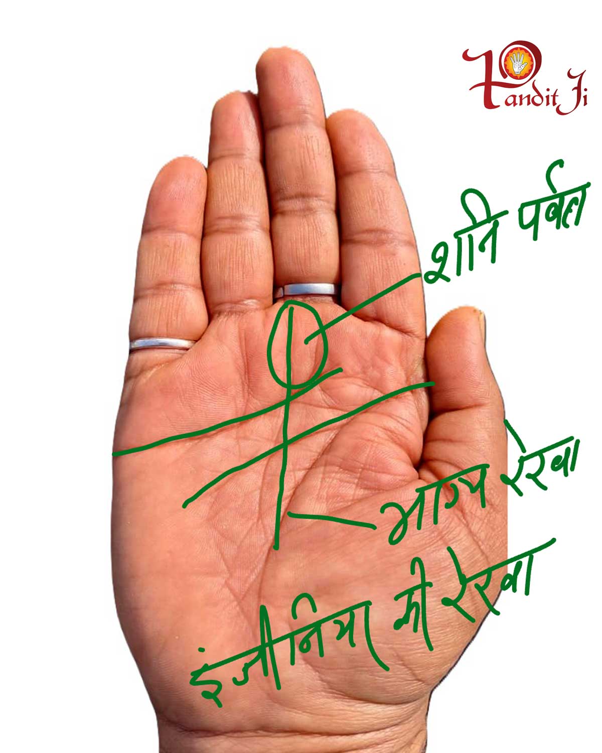 Engineer and Scientist Hand