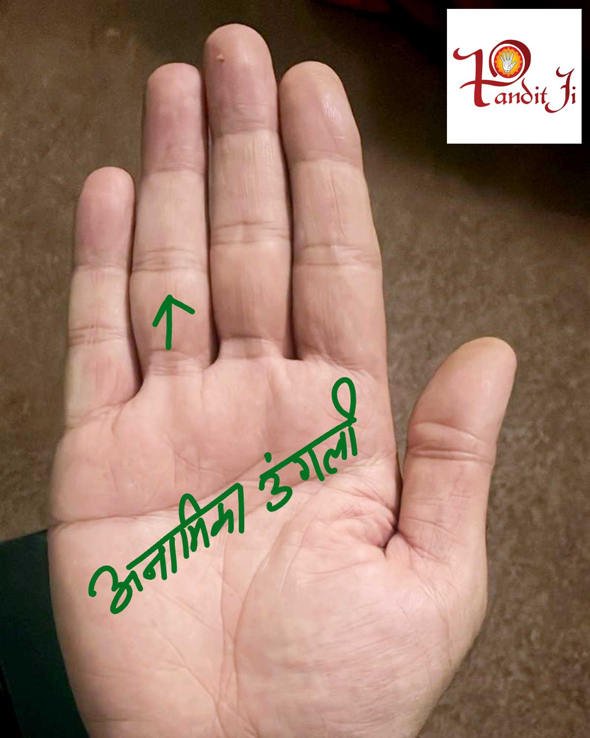 अनामिका उंगली