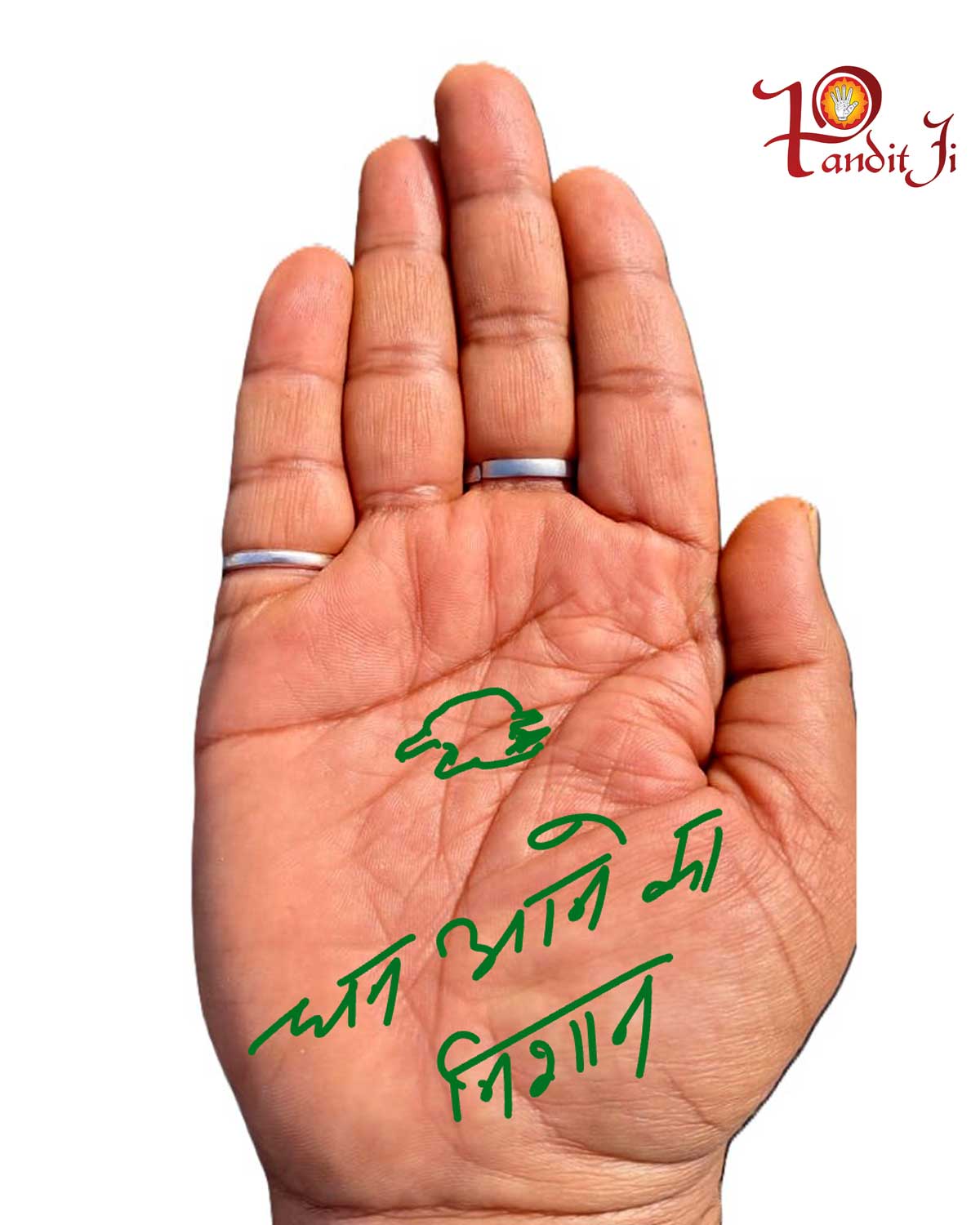 Tortoise Dhan Aane ka Nishan